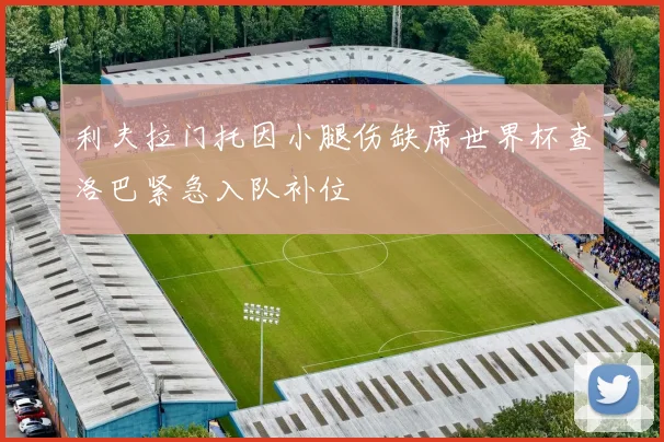 利夫拉门托因小腿伤缺席世界杯查洛巴紧急入队补位
